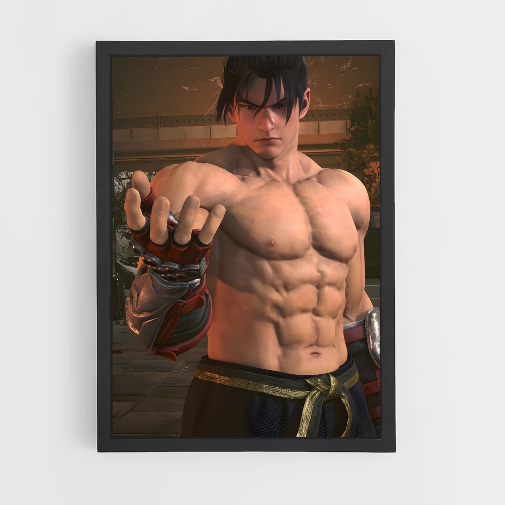 Poster Jin kazama – affiche Tekken (vue 2)